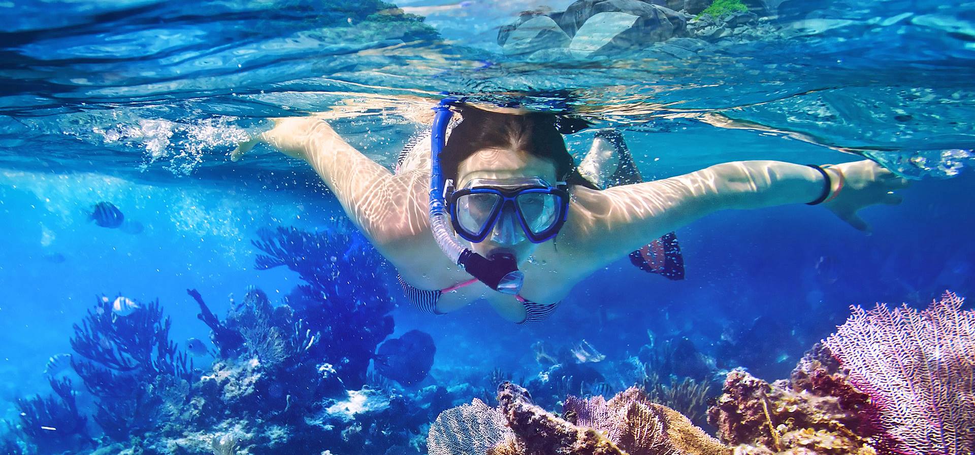 Tour de Snorkel Tours and Activities in Cabo San Lucas, Los Cabos